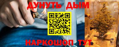 прущие грибы Бузулук